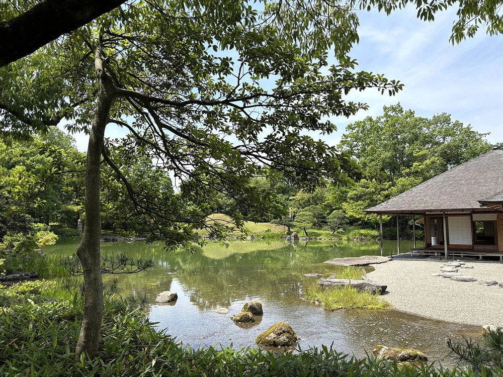 福井市 養浩館庭園